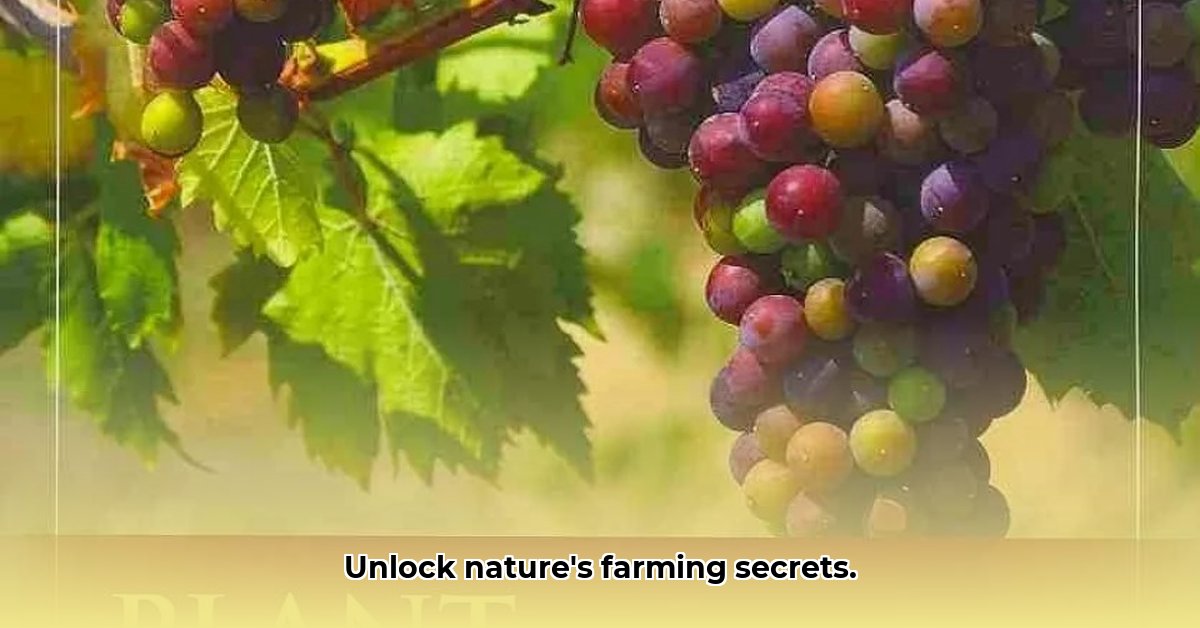 some-benefits-of-being-a-plant-biochemistry